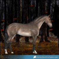 Horse Color:Brown Dun Rabicano 