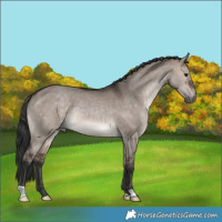 Horse Color:Brown Dun Rabicano 