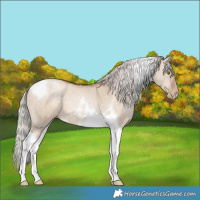 Horse Color:Silver Brown Pearl Dun Tobiano 