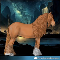 Horse Color:Chestnut Tobiano 
