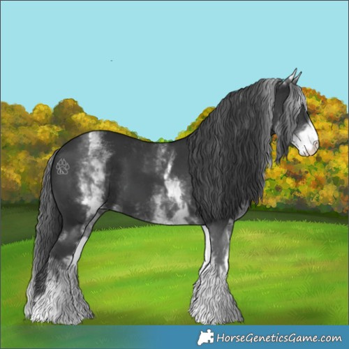 Horse Color:White Spotted Black