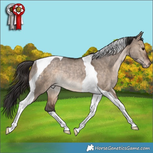 Horse Color:Brown Dun Tobiano Appaloosa Rabicano 