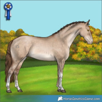 Horse Color:Brown Pearl Dun Tobiano Rabicano 