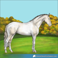 Horse Color:White Spotted Buckskin Pearl Dun Tobiano Rabicano 