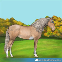 Horse Color:Chocolate Palomino Pearl Tobiano 