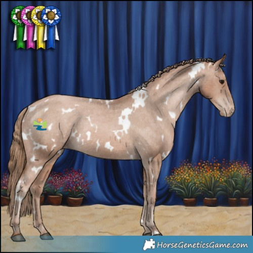 Horse Color:White Spotted Black Pearl Appaloosa Rabicano 