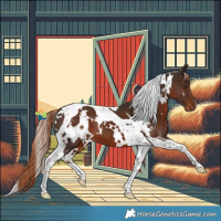 Horse Color:White Spotted Liver Chestnut Tobiano 