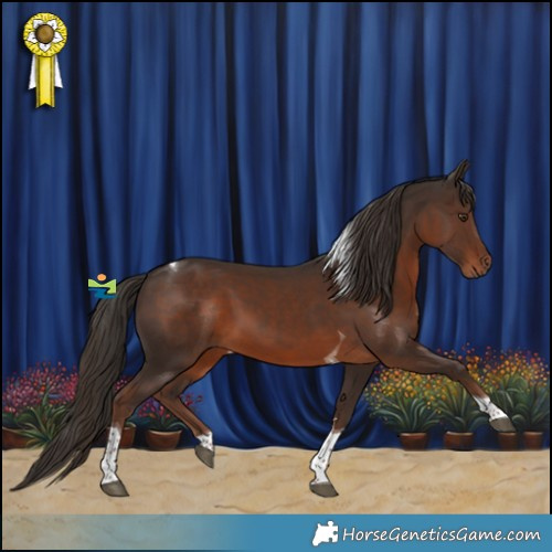 Horse Color:Liver Chestnut Tobiano 