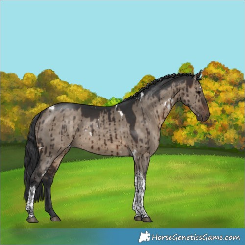Horse Color:White Spotted Brown Dun Tobiano Brindle 