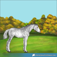 Horse Color:White Spotted Silver Brown Chinchilla Ice Sabino 