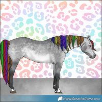 Horse Color:Platinum Painted Bay Chinchilla 