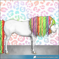 Horse Color:Platinum Painted Gold Champagne Chinchilla Roan Appaloosa 