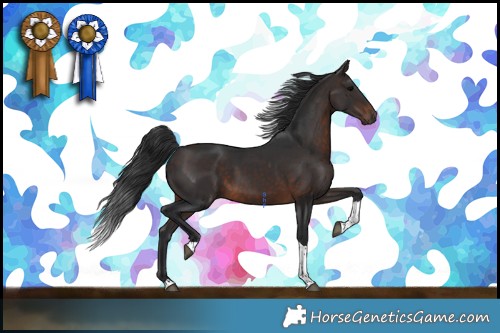 Horse Color:Brown Tobiano 