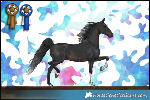 Horse Color:Brown Tobiano 