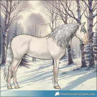 Horse Color:Silver Perlino Dun 