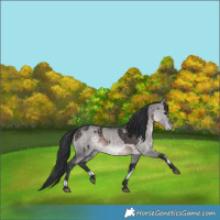 Horse Color:Platinum White Spotted Bay and Platinum White Spotted Brown Dun