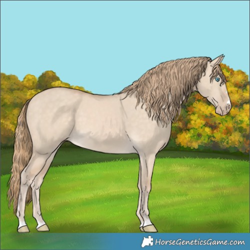 Horse Color:Perlino Dun 