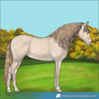 Horse Color:Perlino Dun