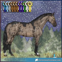 Horse Color:Brown Dun Brindle 