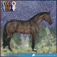 Horse Color:Brown Dun Brindle 