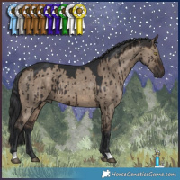 Horse Color:Brown Dun Brindle 