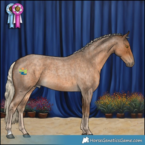 Horse Color:Chocolate Palomino Roan 
