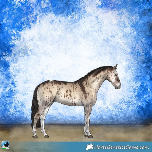 Horse Color:Liver Red Dun Onyx Tobiano Brindle 
