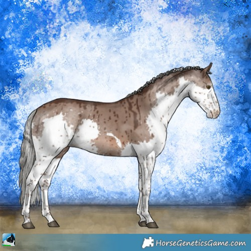 Horse Color:Liver Red Dun Mushroom Splash Tobiano Brindle 
