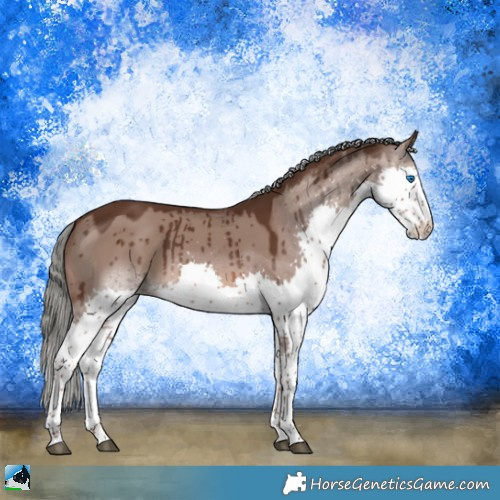 Horse Color:Liver Red Dun Mushroom Splash Brindle 