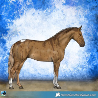 Horse Color:Chocolate Palomino Dun Tobiano Brindle 
