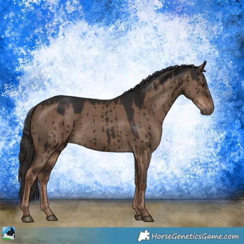 Horse Color:Liver Red Dun Brindle 