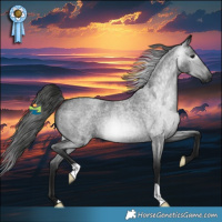 Horse Color:Gray Blue Roan