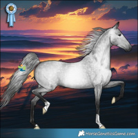 Horse Color:Gray Blue Roan