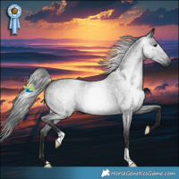 Horse Color:Gray Blue Roan 