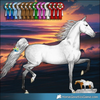 Horse Color:Gray Blue Roan 
