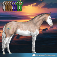 Horse Color:Silver Bay Roan Splash 