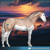 Horse Color:Silver Bay Roan Splash 