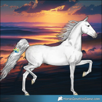 Horse Color:Gray Bay Roan Splash Varnish Rabicano