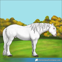 Horse Color:Silver Brown Chinchilla Ice Sabino 