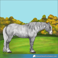 Horse Color:Silver Blue Onyx Chinchilla Ice Roan Sabino 