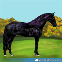 Horse Color:ERROR: UNKNOWN ANOMALY