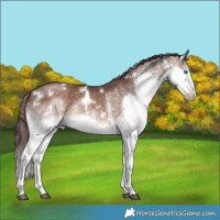 Horse Color:White Spotted Chocolate Brown Dun Splash 