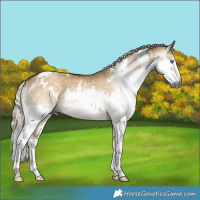 Horse Color:Gray White Spotted Chocolate Palomino Dun Mushroom Splash 