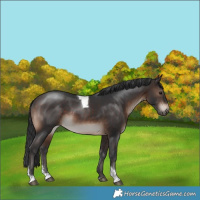Horse Color:Brown Mushroom Sabino Tobiano 