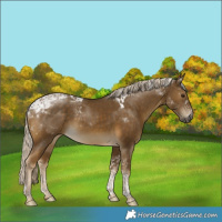 Horse Color:Chocolate Palomino Mushroom Tobiano 