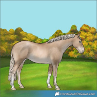 Horse Color:Chocolate Palomino Pearl Mushroom Tobiano 