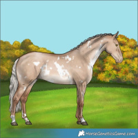 Horse Color:White Spotted Silver Brown Pearl Dun 
