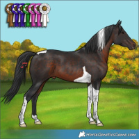Horse Color:Brown Tobiano
