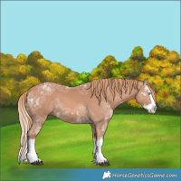 Horse Color:Chestnut Ice Splash 