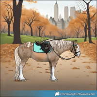 Horse Color:Chocolate Palomino Sabino Appaloosa